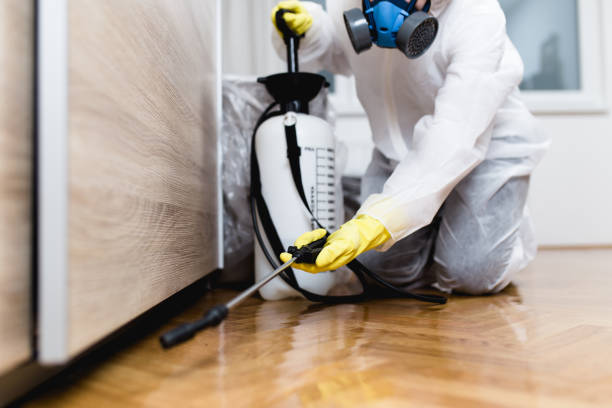 Best Termite Control Services  in Nanawale Estates, HI