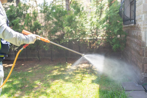 Best Affordable Pest Control Services  in Nanawale Estates, HI
