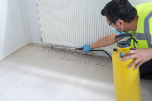 Best Residential Pest Control  in Nanawale Estates, HI