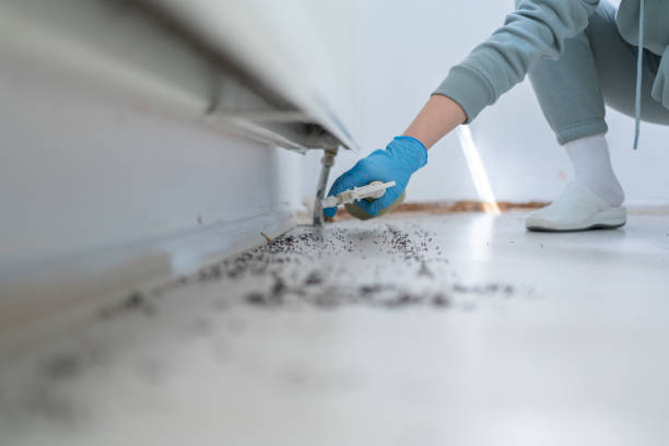 Best Commercial Pest Control Services  in Nanawale Estates, HI