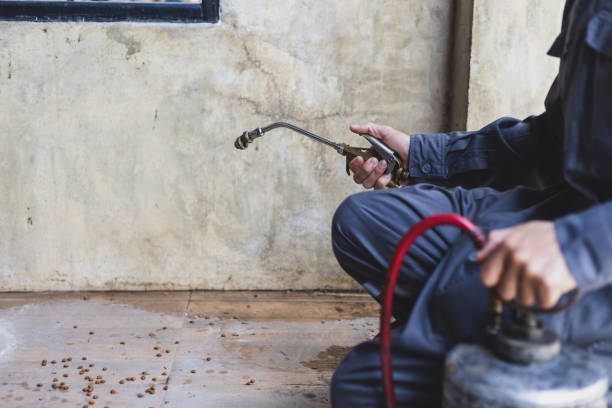 Best Best Pest Control Companies  in Nanawale Estates, HI